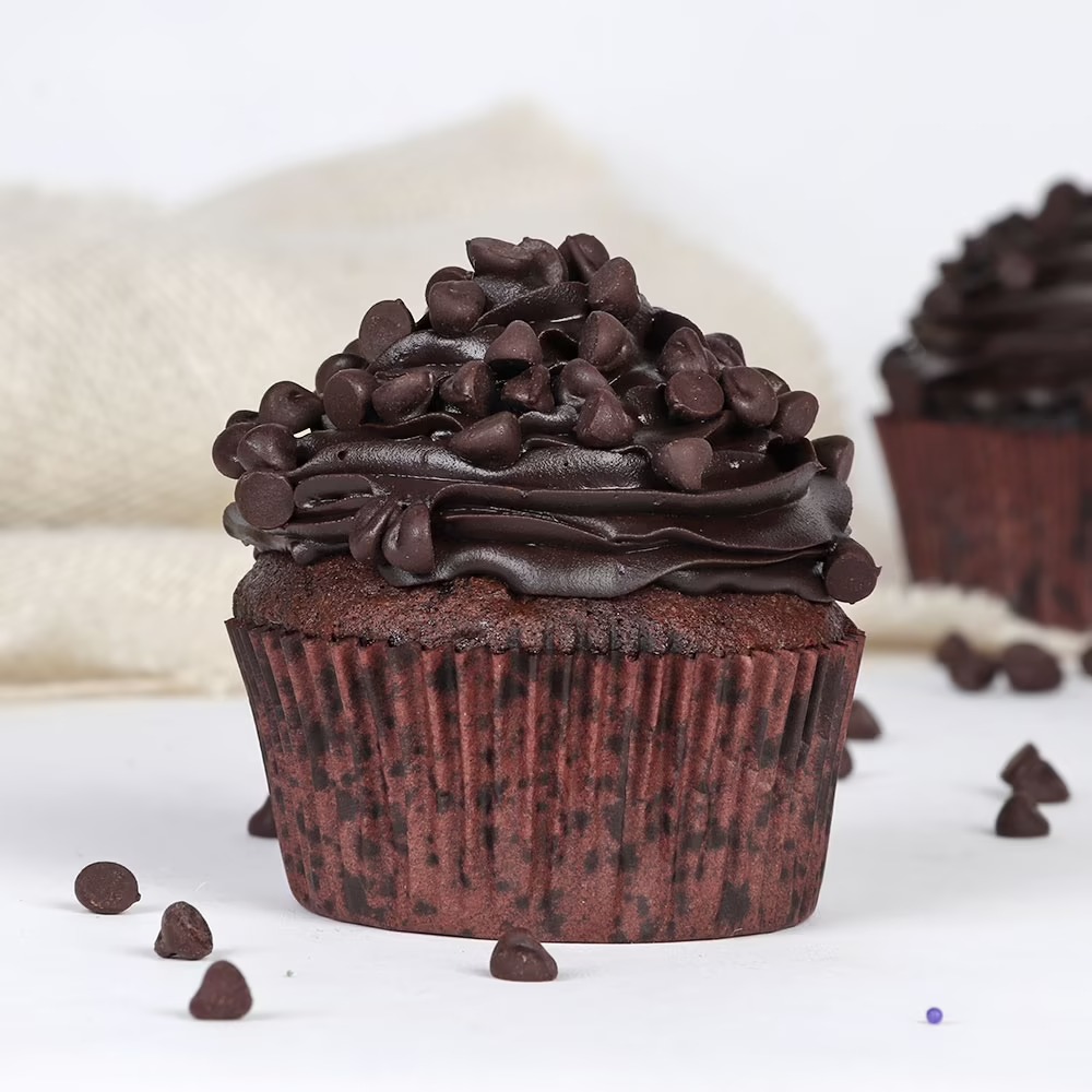 Choco Chip Cupcake